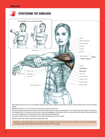 Strength Training Anatomy 3rd Pdf