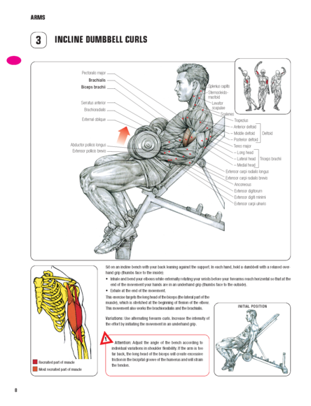 Anatomy of strength training pat manocchia pdf