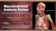 Musculoskeletal Anatomy Review