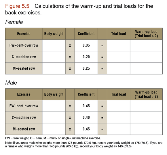 Lat Pulldown Weight Chart