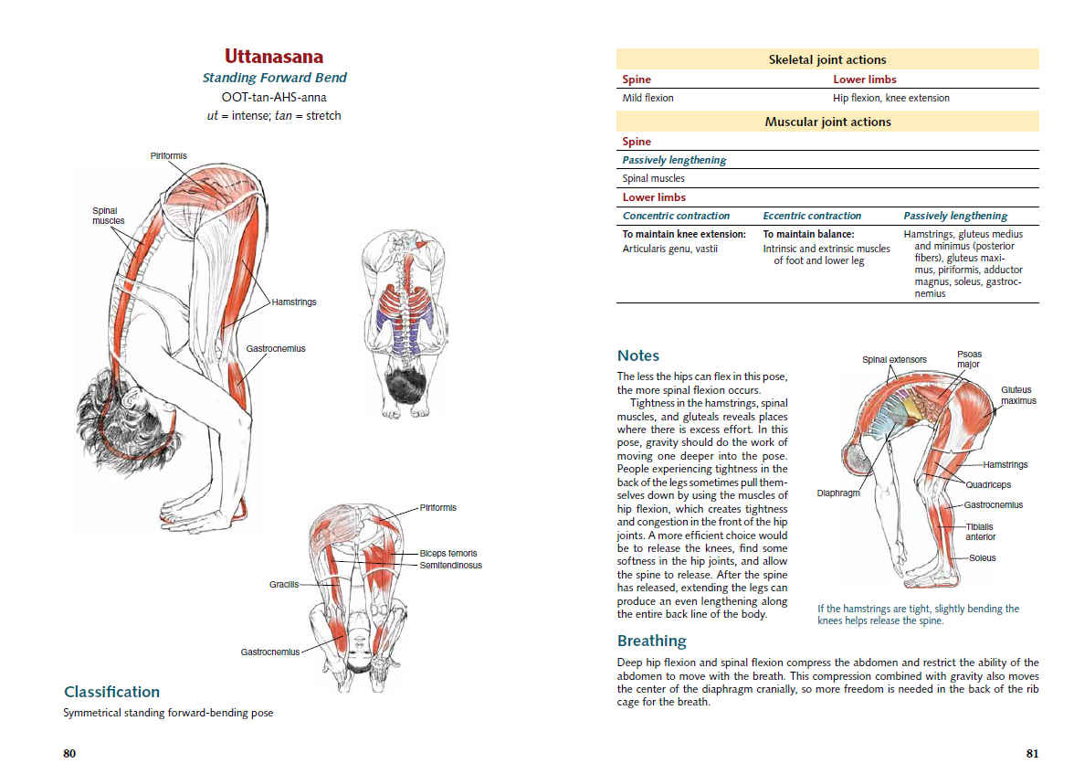 Yoga anatomy pdf drive