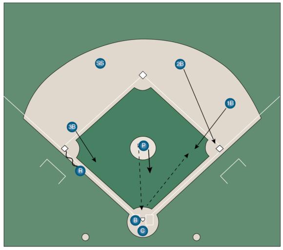 Baseball- Human Kinetics