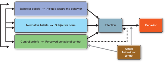 Figure 5.1 The theory of planned behavior.